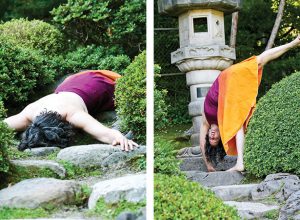 Yoga-Feldenkrais-Informed-Sheri-Cohen-Seattle